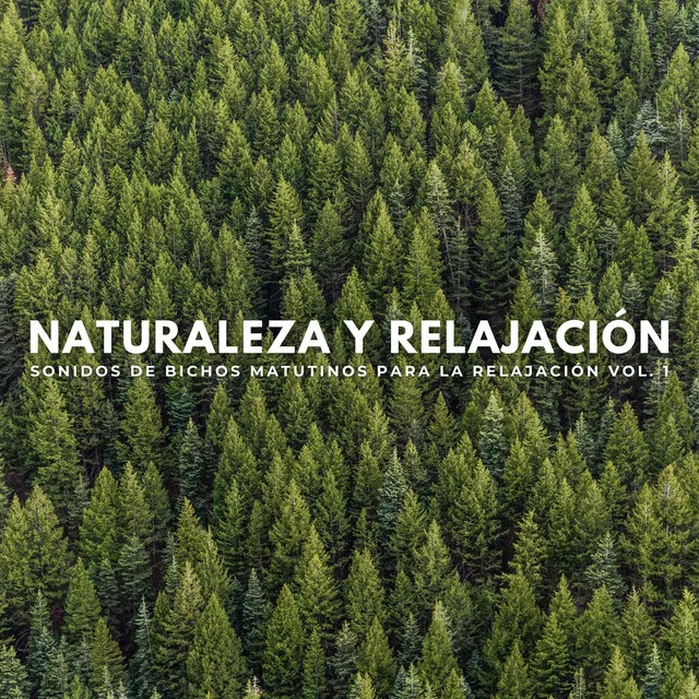 Sonidos curativos de la naturaleza