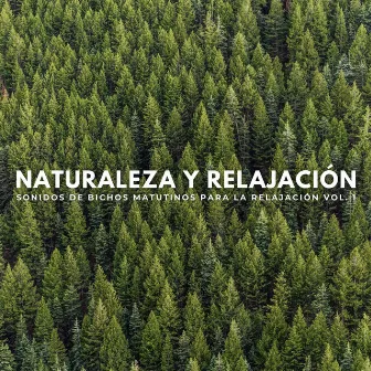 Naturaleza Y Relajación: Sonidos De Bichos Matutinos Para La Relajación Vol. 1 by Sonidos curativos de la naturaleza