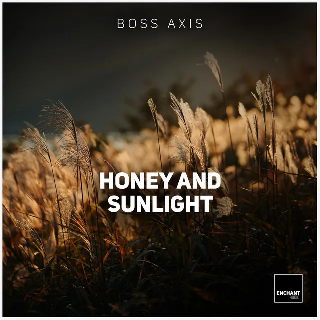 Honey and the Sunlight - Lukas Bilz Remix