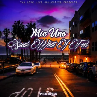 Speak What I Feel by Mic Uno