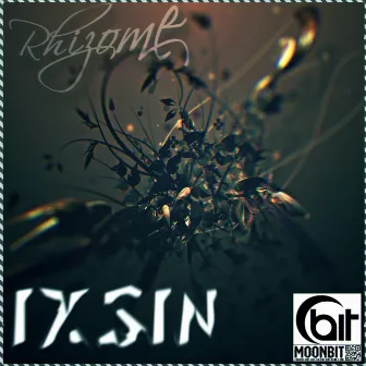 Rhizome by Ixsin