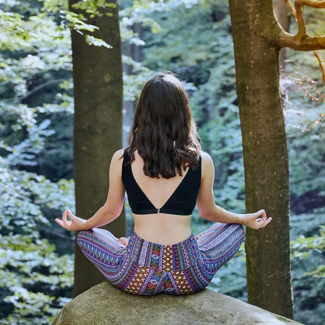 Meditation in the Moonlit Glade