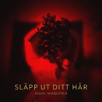 Släpp ut ditt hår by Djoon