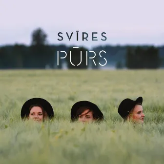 PŪRS by Svīres