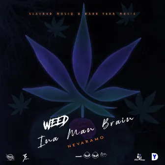 Weed Ina Man Brain by Nevaramo