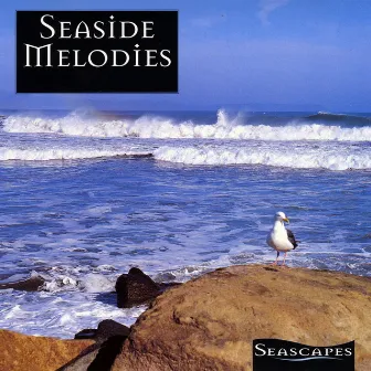 Seaside Melodies by Adrian Scott