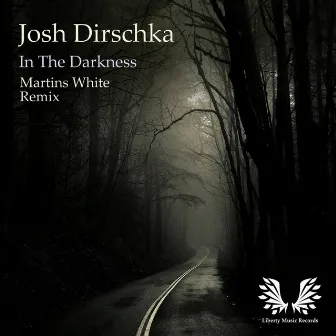 In The Darkness (Martins White Remix) by Josh Dirschka