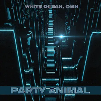 Party Animal by Unknown Artist