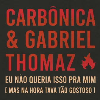 Eu não queria isso pra mim [Mas na hora tava tão gostoso] by Gabriel Thomaz