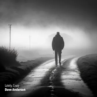 Lately, Crazy by Dave Anderson