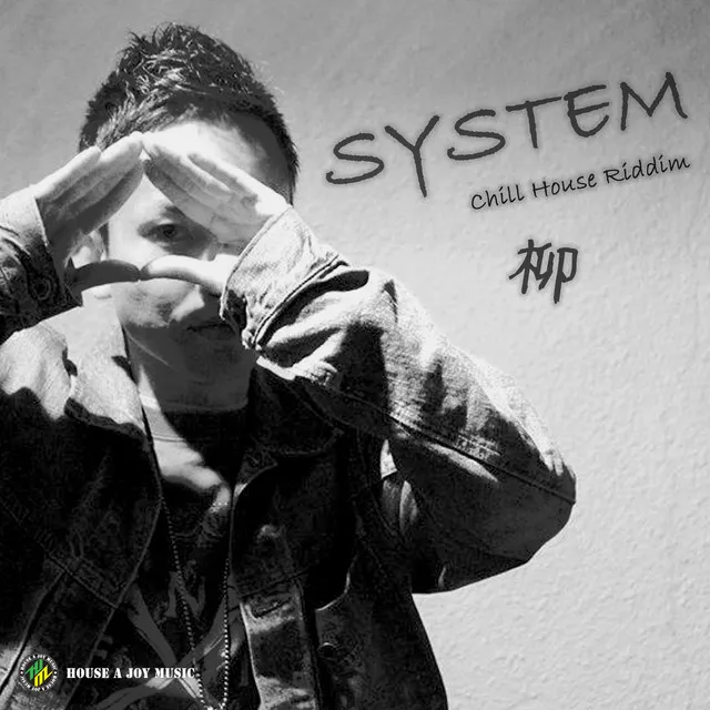 SYSTEM