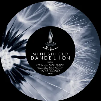 Dandelion by Mindshield