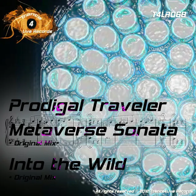 Metaverse Sonata - Original Mix