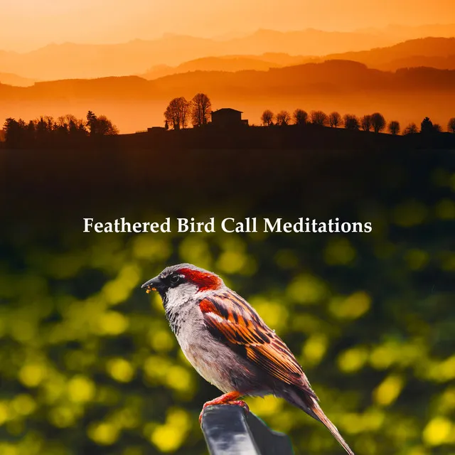 Feathered Bird Call Meditations