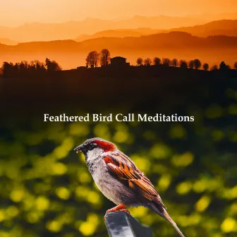 Feathered Bird Call Meditations by Avez