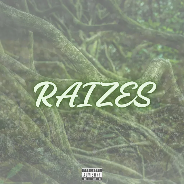 Raizes