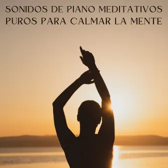 Sonidos De Piano Meditativos Puros Para Calmar La Mente by Unknown Artist