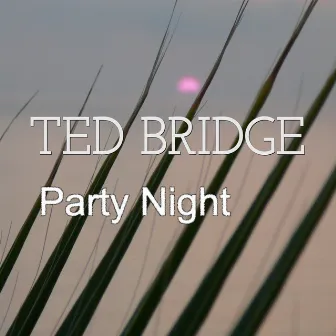 Party Night by Ted Bridge