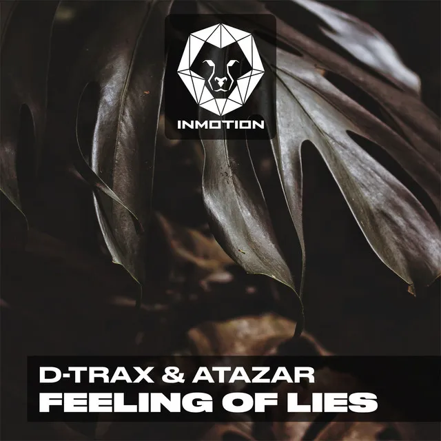 Feeling of Lies - Radio Mix