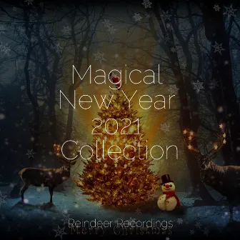 Magical New Year 2021 Collection by Stille Nacht