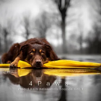 4 Paws: Placid Rain Relaxation Sounds Vol. 1 by Sleepy John