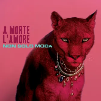 Non solo moda by A Morte l'Amore