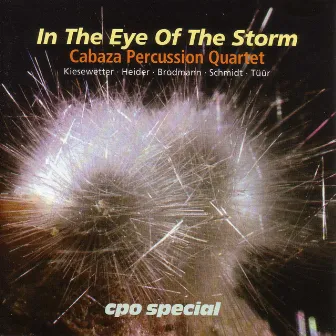 Cabaza Percussion Quartet: In the Eye of the Storm by Cabaza Percussion Quartet