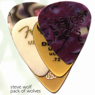 Steve's Picks by Steve Wolf