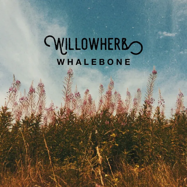 Willowherb