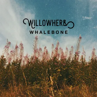 Willowherb by Whalebone