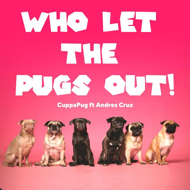 Who let the pugs out!