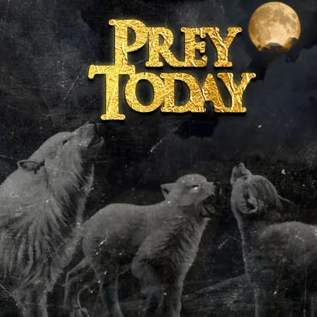 Prey Today