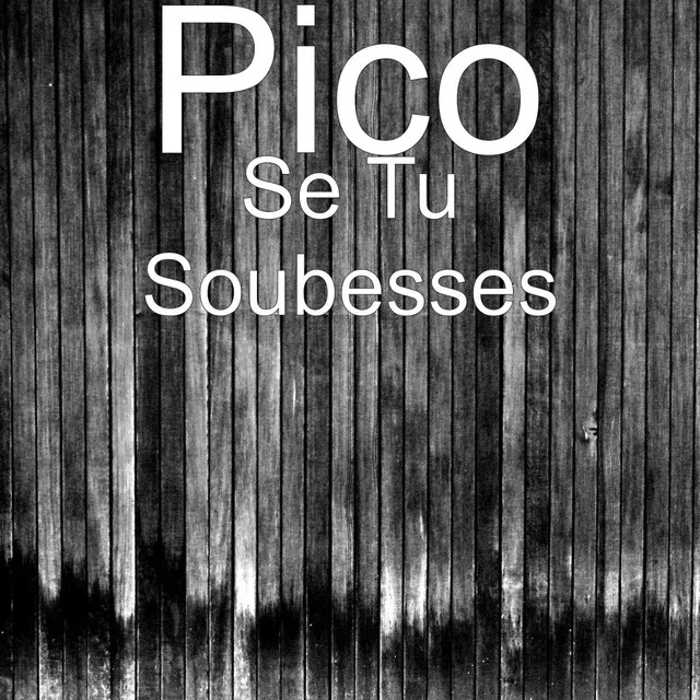 Se Tu Soubesses