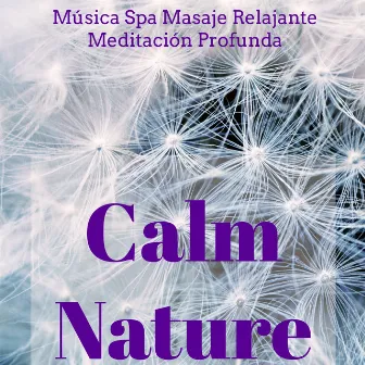 Calm Nature - Música Spa Masaje Relajante Meditación Profunda con Sonidos Naturales New Age Instrumentales by New Age Healing