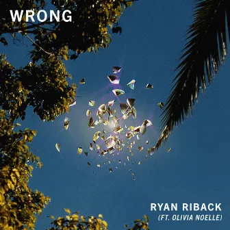 Wrong by Ryan Riback