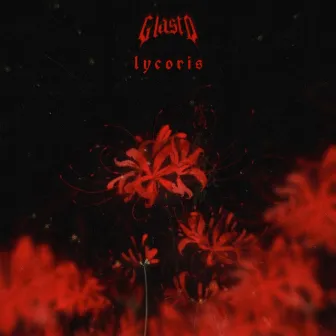 Lycoris by Glasto