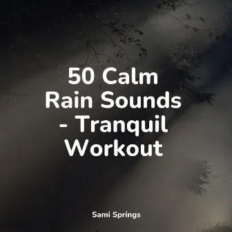 50 Peaceful Summer Rain Tracks by Sonidos de la Naturaleza