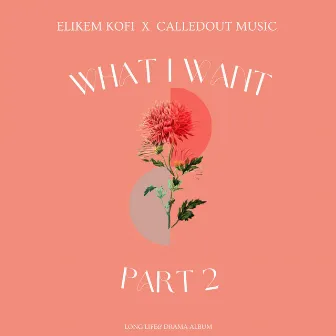 What I Want II by Elikem Kofi