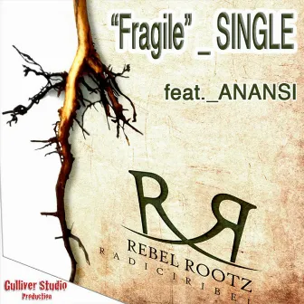 Fragile (feat. Anansi) by Rebel Rootz