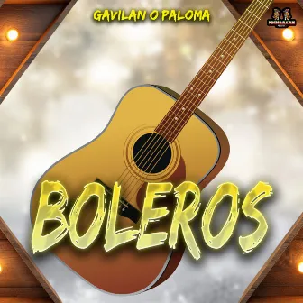 Gavilan O Paloma by Los Boleros Del Ayer