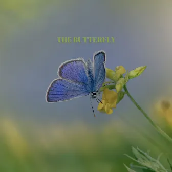 The butterfly by Musicbox Moments