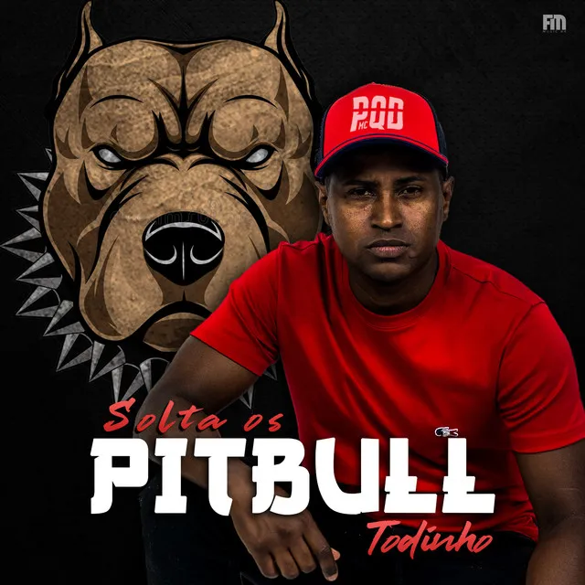 Solta os Pitbull Todinho