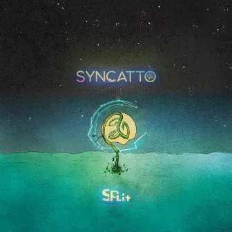 Split by Syncatto