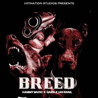 Breed by Leo Rana