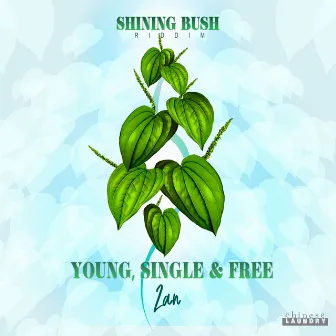 Young, Single & Free by ZAN