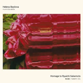 Homage to Ryuichi Sakamoto by Helena Basilova