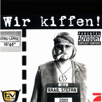 Wir Kiffen! by Stefan Raab