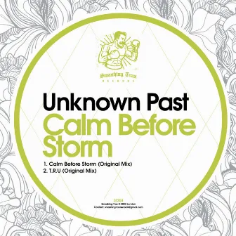 Calm Before Storm by Unknown Past