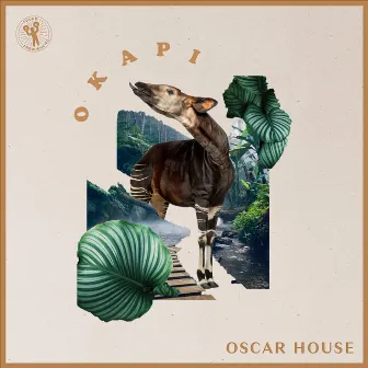 Okapi by Oscar House