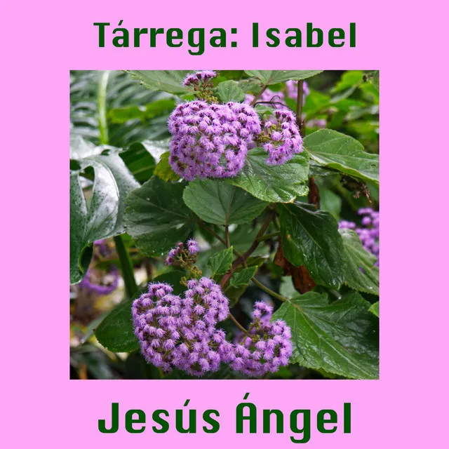 Tárrega: Isabel